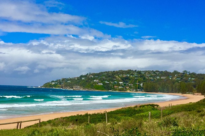Small-Group Sydney's Northern Beaches & Ku-ring-gai Park Tour - West Head Lookout: sea cliffs, five waterways, and a Palm Beach view