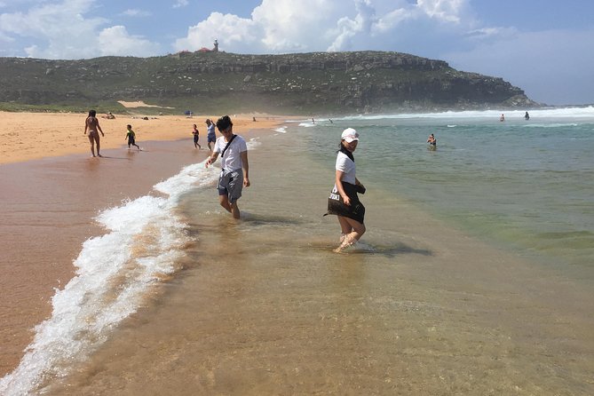 Small-Group Sydney's Northern Beaches & Ku-ring-gai Park Tour - Narrabeen Lake pelicans and Long Reef’s 40 km view