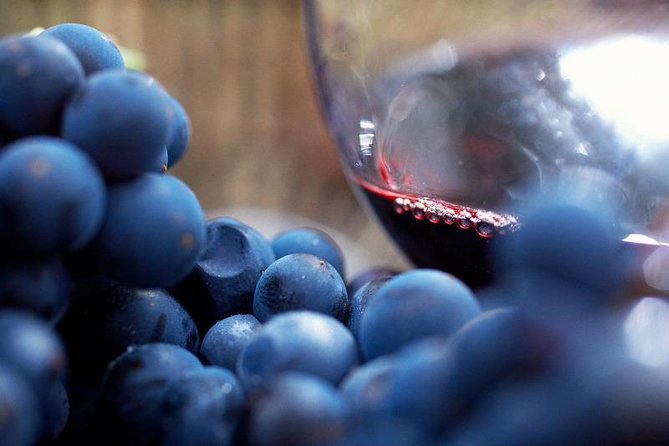 Small Group: Ultimate Mornington Peninsula Food and Wine Day - Key Highlights at a Glance