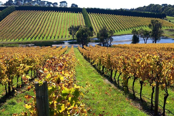 Small Group: Ultimate Mornington Peninsula Food and Wine Day - What the Tour Gives You Day-to-Day: A Simple Expectation Map