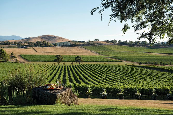 Small Group: Ultimate Yarra Valley Food and Wine - Timing, Pickup, and the Reality of Bathroom Stops