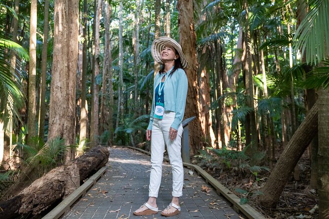 Small Group Waterfall Wetlands+ Skyrail All Inclusive from Cairns - Key things to know