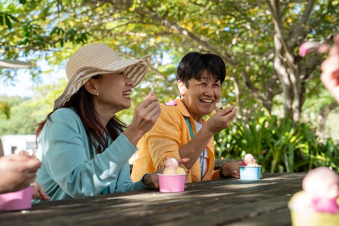 Small Group Waterfall Wetlands+ Skyrail All Inclusive from Cairns - A practical overview: what this day really gives you