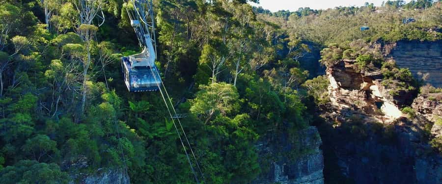 Small Group: Zoo, Blue Mountains, Scenic World Mandarin Tour - Tour pace, group size, and language: the three things that shape your day