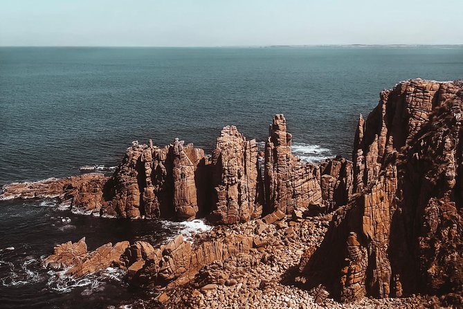Small Tour (8 ppl) Phillip Island Hike & Penguin Parade Day Tour - Key highlights worth getting excited about