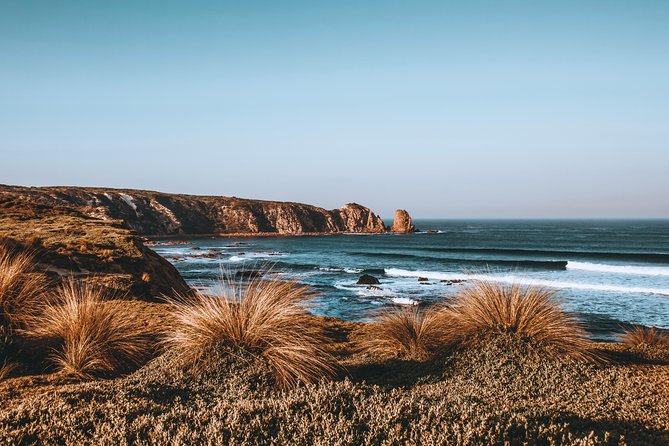 Small Tour (8 ppl) Phillip Island Hike & Penguin Parade Day Tour - Price and value: is $200.11 worth it?