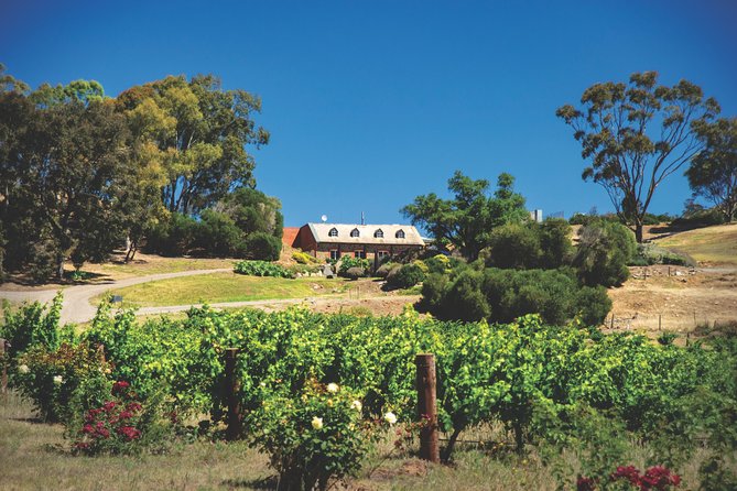 Small Tour Barossa Valley Voyager Tour from Adelaide - Stop 2: Langmeil Winery and the Freedom Shiraz Vine Planted in 1843