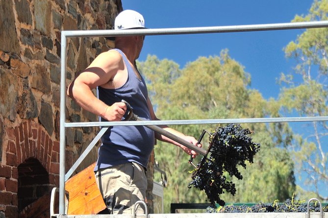 Small Tour Barossa Valley Voyager Tour from Adelaide - Guides Who Set the Tone: Humor, History, and Flexibility on the Day