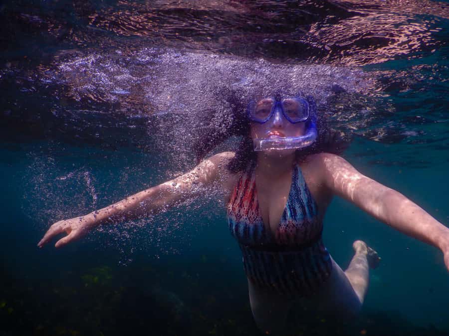 Snorkel Sydney’s Stunning Marine Reserve on a Private Tour - Key highlights at a glance