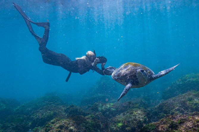 Snorkel with Turtles Gold Coast - The snorkel setup: what you get and what you must bring mentally