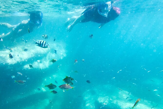 Snorkeling Adventure for Kids with Private Guide In Sydney - Photo memories without the juggling act