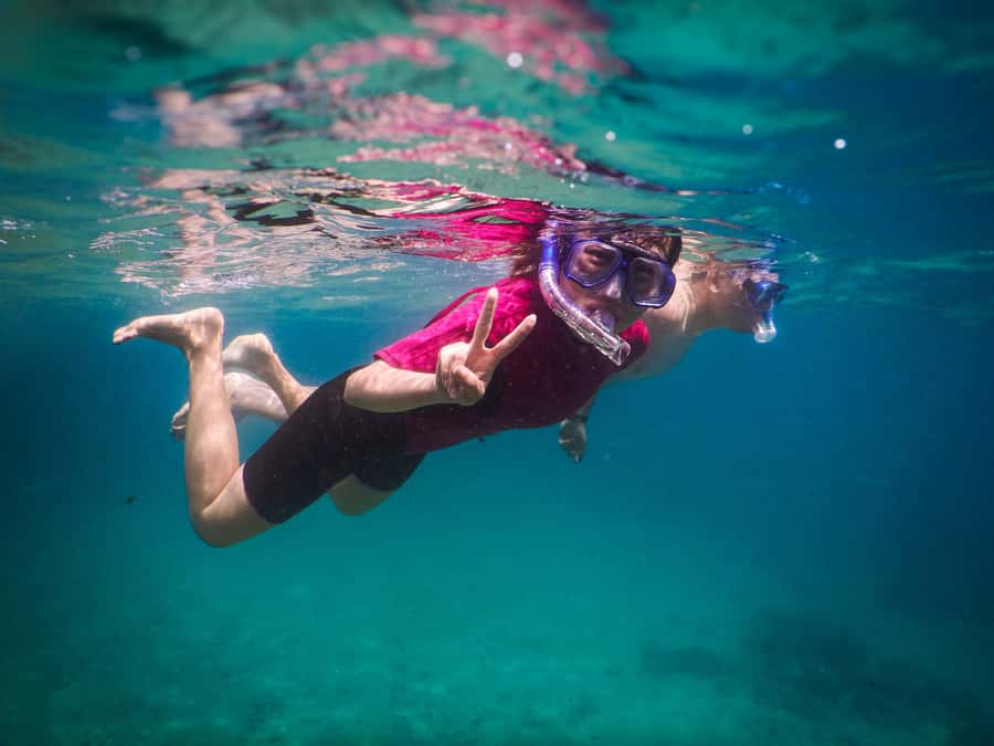 Snorkeling Tour: Discover Sydney’s impressive sea life - When Weather Changes the Plan: Choppy Conditions, Relocations, and Backup Spots