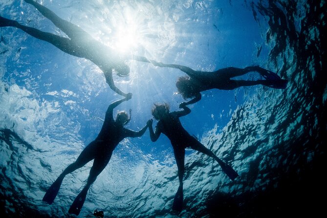 Snorkeling with Turtles – Cook Island Marine Reserve - Photos and the “look back” factor