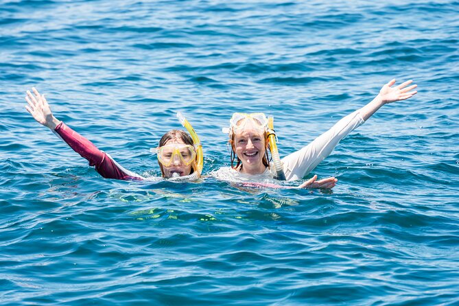 Snorkeling with Turtles – Cook Island Marine Reserve - Price and value: is $99.70 a good deal?