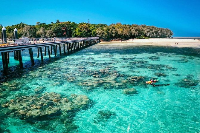 Snorkelling and Glass Bottom Boat at Green Island from Cairns - Key Points That Make This Tour Worth Your Time