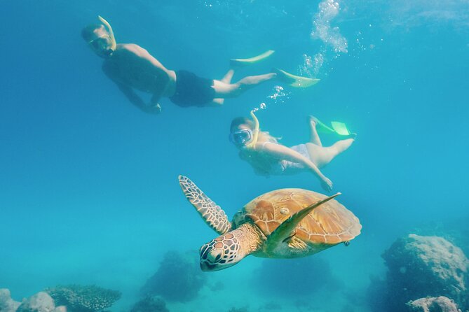 Snorkelling and Glass Bottom Boat at Green Island from Cairns - Snorkeling From Shore: What’s Included, What Can Go Wrong, and How to Make It Better