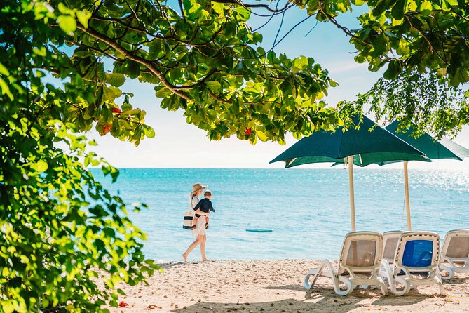 Snorkelling and Glass Bottom Boat at Green Island from Cairns - Glass Bottom Boat: Why It’s a Great Backup (and Sometimes the Main Event)
