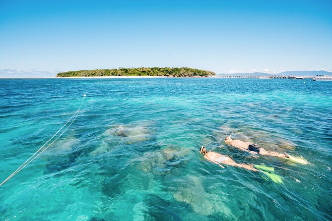 Snorkelling and Glass Bottom Boat at Green Island from Cairns - Who This Tour Fits Best (and Who Should Rethink It)