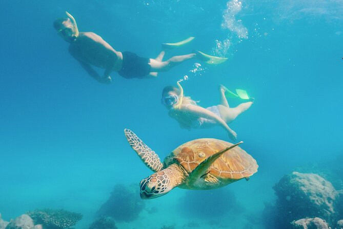Snorkelling or Glass Bottom Boat at Green Island from Cairns - Quick Take: What Makes Green Island From Cairns Work