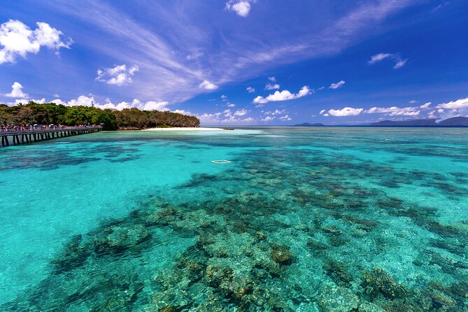 Snorkelling or Glass Bottom Boat at Green Island from Cairns - Rainforest Walks and Reef Talks: Getting More Meaning From the Day