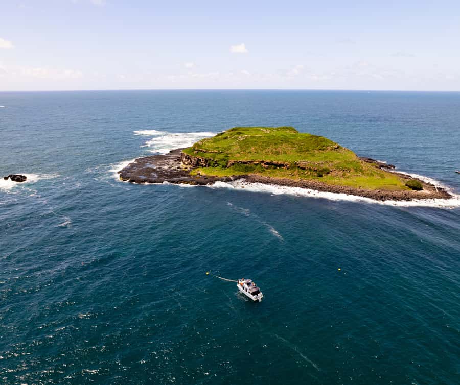Snorkelling with Turtles at Cook Island Marine Rserve - Getting there from Miami: The smooth parts (and the ones you should plan for)