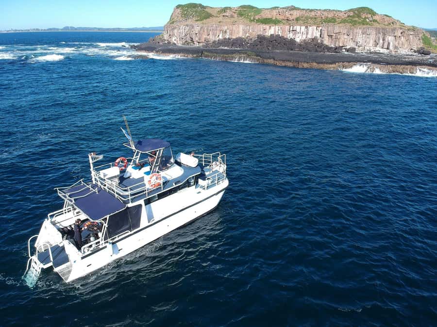 Snorkelling with Turtles at Cook Island Marine Rserve - Price and value: Does $98 actually cover what you need?