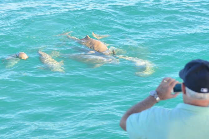 Snubfin Dolphin Eco Cruise from Broome - The boom net swim: the fun part, with real conditions