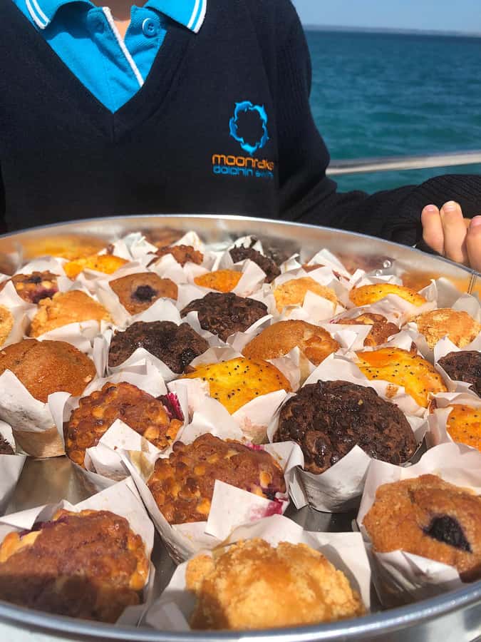 Sorrento,Mornington Peninsula: Wildlife & Sightseeing Cruise - Price and value: is $53 worth it for wildlife cruising?
