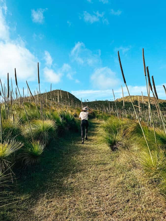 South Molle Island Self Guided Walking Tour - Why South Molle feels like the Whitsundays’ quieter side