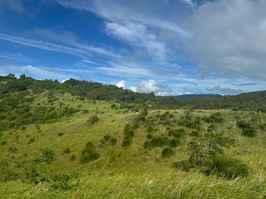 South Molle Island Self Guided Walking Tour - Island rules you should know before you start