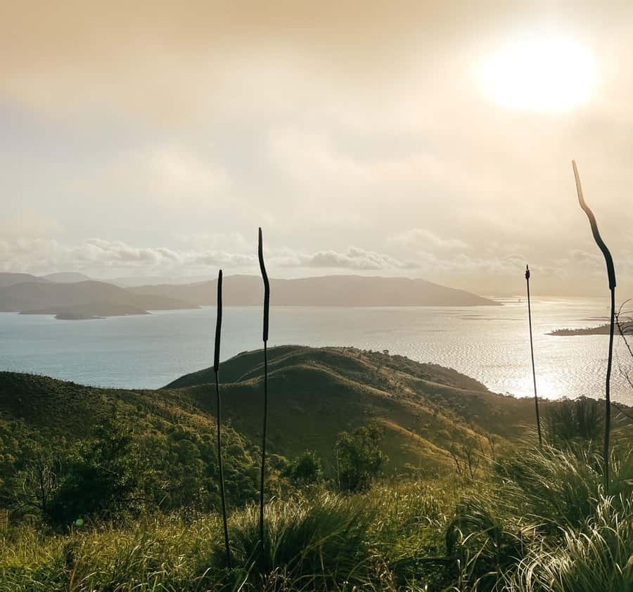 South Molle Island Self Guided Walking Tour - Who should book this South Molle self-guided day?