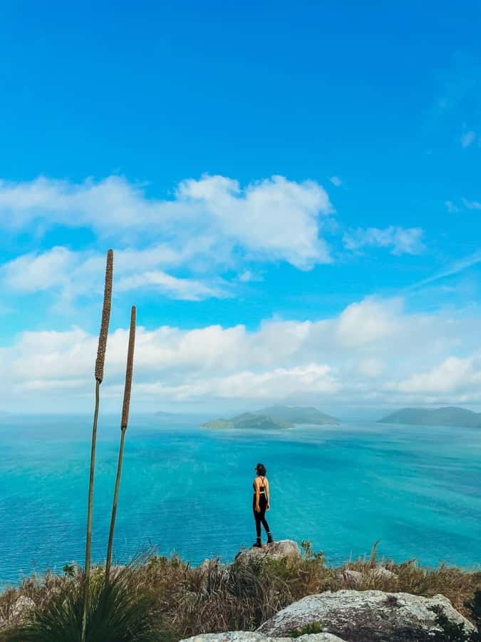 South Molle Island Self Guided Walking Tour - A quick reality check on value