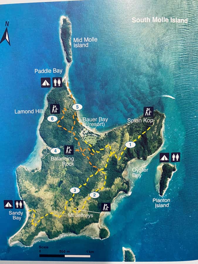 South Molle Island Self Guided Walking Tour - Getting there: Scamper ferry timing, check-in, and what to expect
