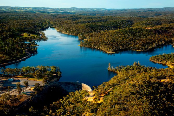 Southern Barossa: 10-Minute Helicopter Flight - Key highlights worth getting excited about