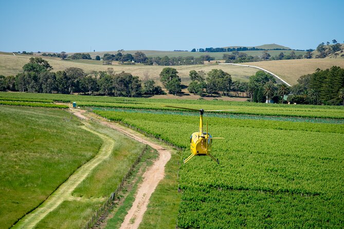 Southern Barossa: 10-Minute Helicopter Flight - The Jacob’s Creek Tank Farm View: The Barossa’s Scale Problem Solved
