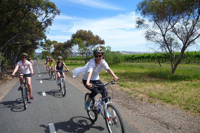 Southern Barossa: 10-Minute Helicopter Flight - Price and Value: What $89.66 Per Person Buys You