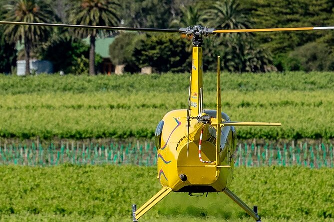 Southern Barossa & Reservoirs: 15 Minute Scenic Flight - The pre-flight routine: how the briefing and rules affect your comfort
