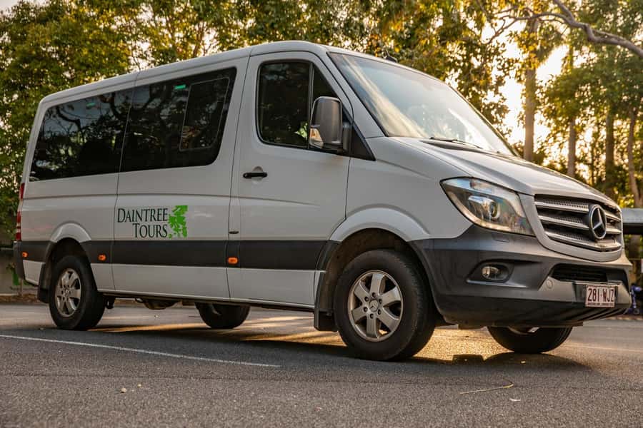Southern Daintree Explorer Tour - Half Day - Half-Day Timing That Fits Port Douglas Plans
