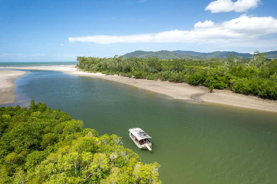 Southern Daintree Explorer Tour - Half Day - Lunch in a Secluded Spot: A Real Break, Not Just a Sandwich Stop