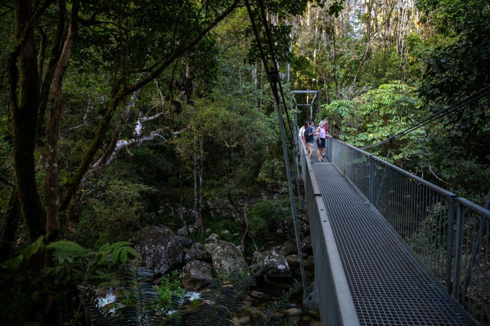 Southern Daintree Explorer Tour - Half Day - Should You Book This Southern Daintree Explorer Tour?
