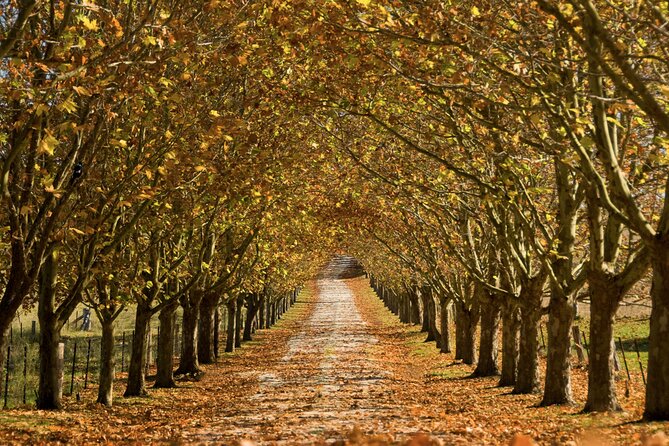 Southern Highlands Private Tour with Wine, Waterfall and Garden - Getting out of Sydney: why this route feels like a real reset