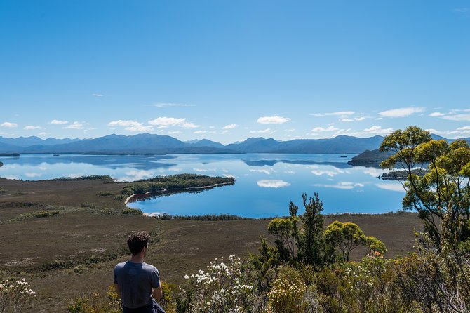 Southwest Tasmania Wilderness Experience: Fly Cruise and Walk Including Lunch - Your Day at a Glance: Timing, Group Size, and Where You Start