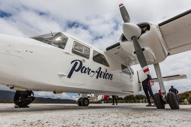 Southwest Tasmania Wilderness Experience: Fly Cruise and Walk Including Lunch - The Bush Walk: Getting Your Feet into the Southwest