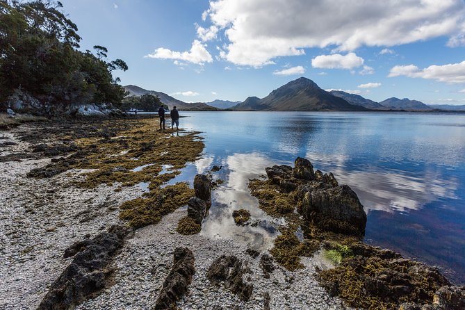 Southwest Tasmania Wilderness Experience: Fly Cruise and Walk Including Lunch - Price and Value: Is $537.22 Worth It?