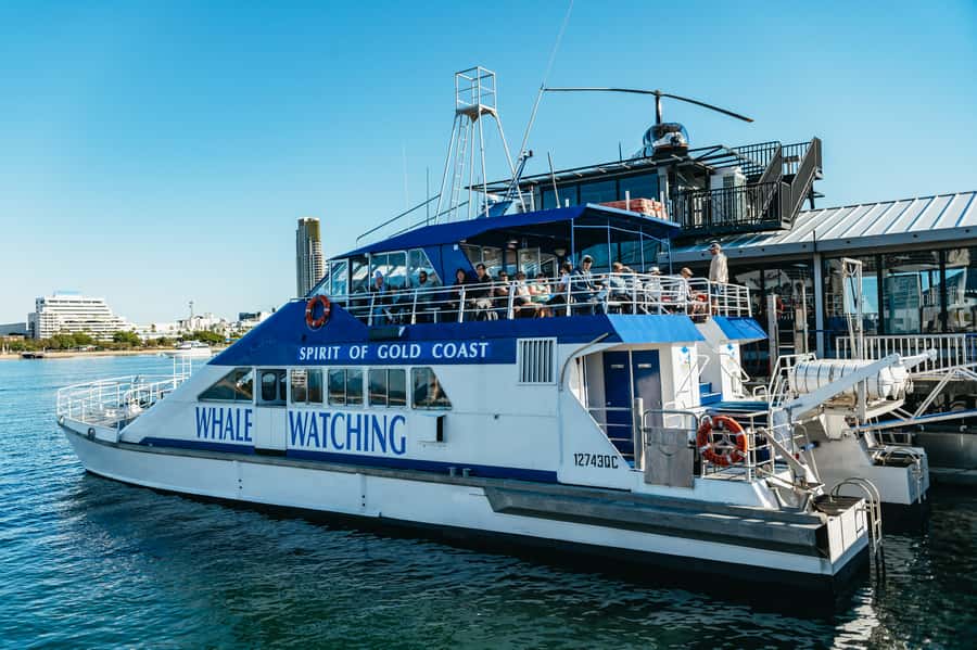 Spirit of Gold Coast 2.5-Hour Whale Watching Tour - Key Things I’d Pay Attention To