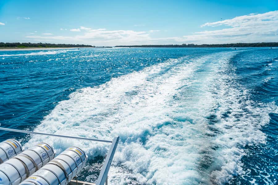 Spirit of Gold Coast 2.5-Hour Whale Watching Tour - Who Should Book (and Who Might Want a Different Plan)