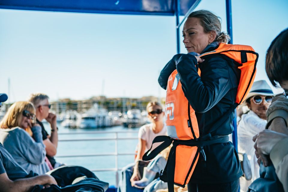 Spirit of Gold Coast 2.5-Hour Whale Watching Tour - The Whale Watching Setup: How 360° Decks Change Your Odds