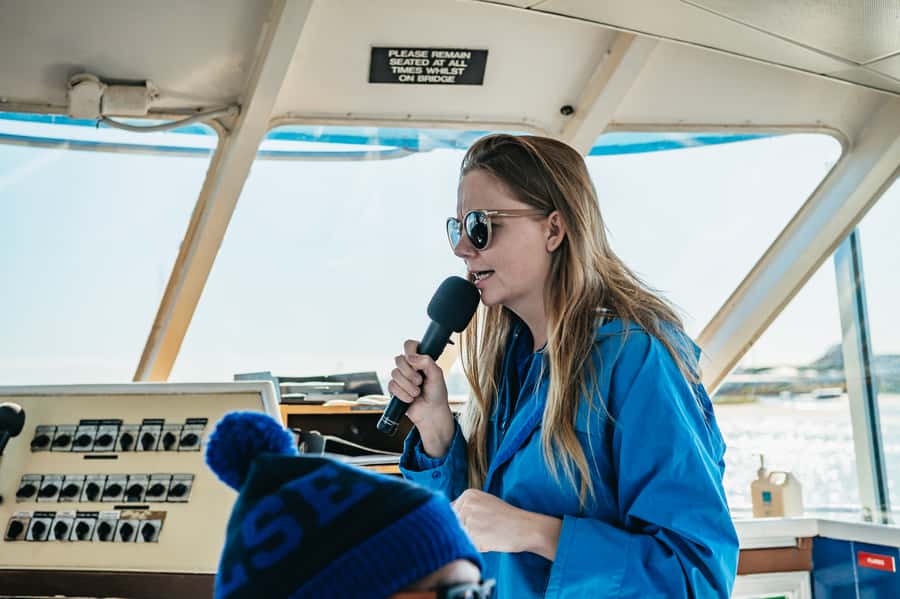 Spirit of Gold Coast 2.5-Hour Whale Watching Tour - Humpbacks June to October: What You’re Watching For