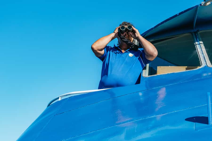 Spirit of Gold Coast 2.5-Hour Whale Watching Tour - Price and Value: Why $52 Makes Sense for This Area