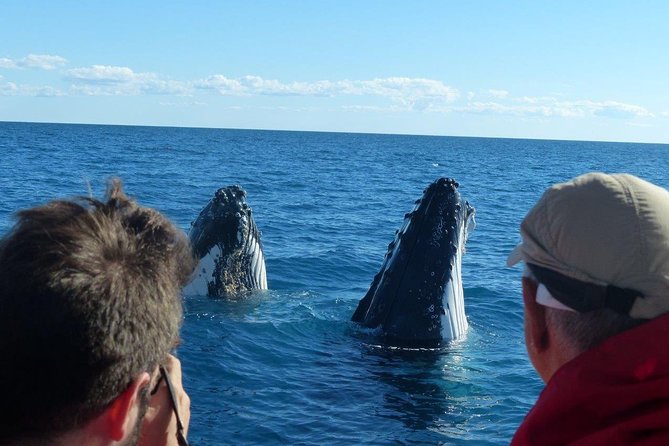 Spirit of Hervey Bay Whale Watching Cruise - First Look: Where the Spirit of Hervey Bay Leaves From
